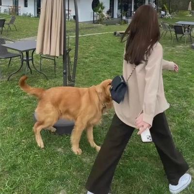 垫底俱乐部